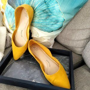 Point toe ballet flats